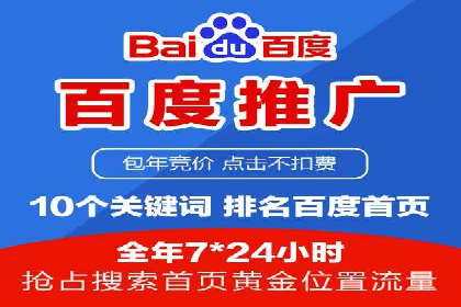 解析某某SEM服务公司的广告投放策略与效果评估